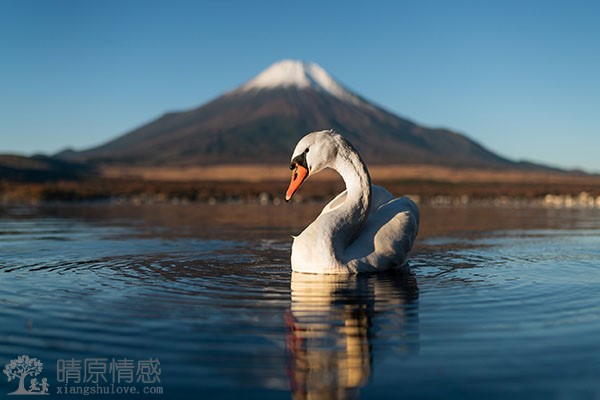 老公不能很好地控制自己的情绪，无故发怒后又向我道歉，该怎么办？