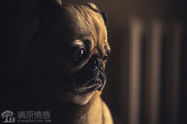 老公出轨，为了家庭我选择容忍，从伤害中恢复需要多长时间？