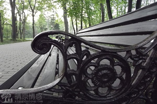 挽回爱情在丧失相互信任时，如何展现真诚和改变重建关系？