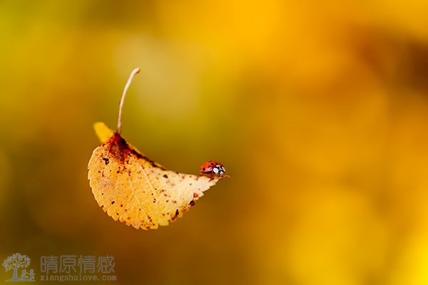 在发现老公与人家暧昧时，应如何沟通解决问题？