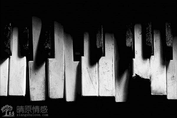 在面临离婚的压力下，如何寻求家庭、朋友的支持与帮助？