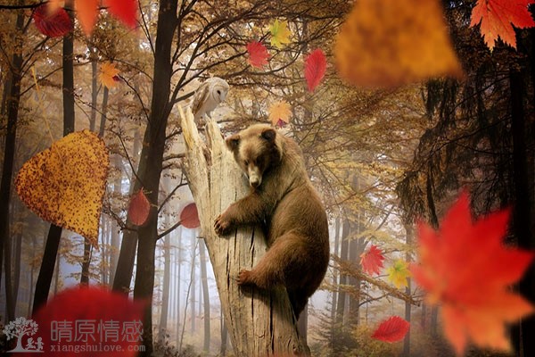 离婚后重新追求幸福，恋爱关系与亲子关系之间如何平衡