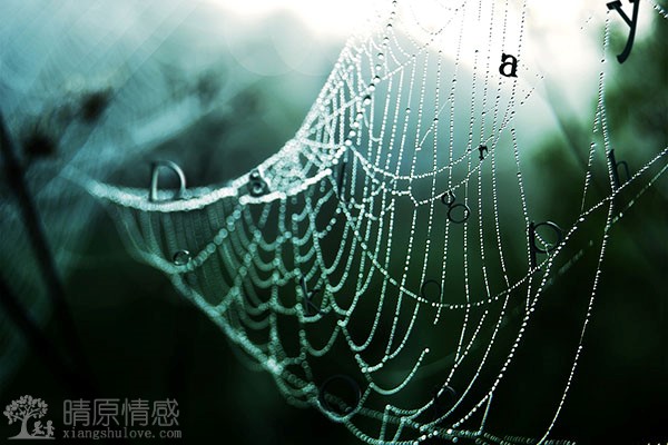 从内而外的改变：如何在挽回女友时改善自己的内在？