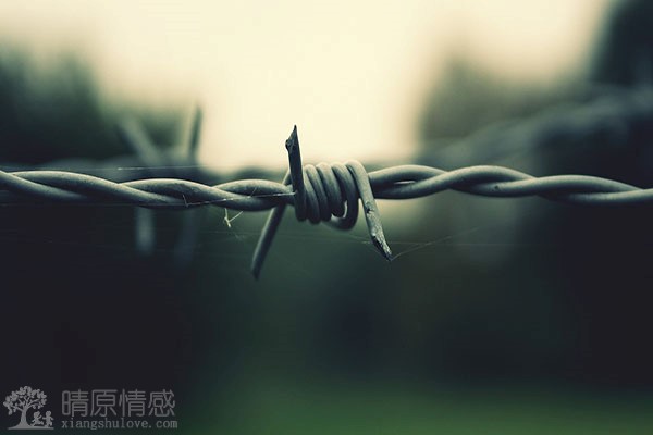 如何回顾过去的甜蜜时光，让爱失而复得？