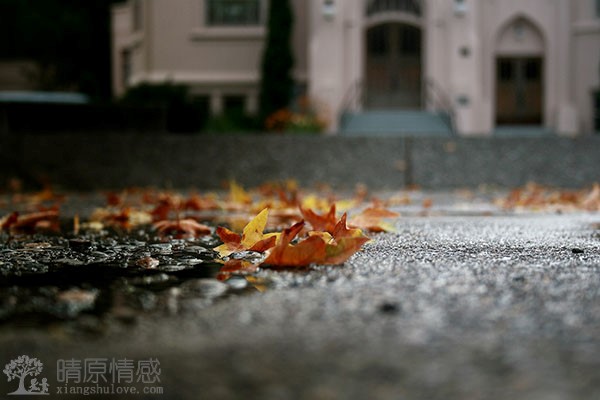 老公出轨背叛婚姻时，做好以下几点，成功挽救婚姻