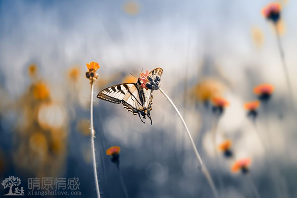 面对与老公的文化差异和生活方式不同，如何相处更加和谐