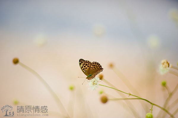 老公为何选择出轨，是因为感情还是身体的需要？