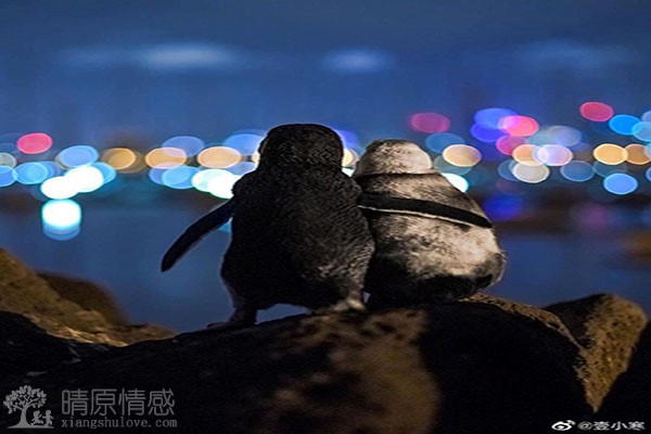 吵架也是一种沟通交流的方式，如何从吵架中学习？