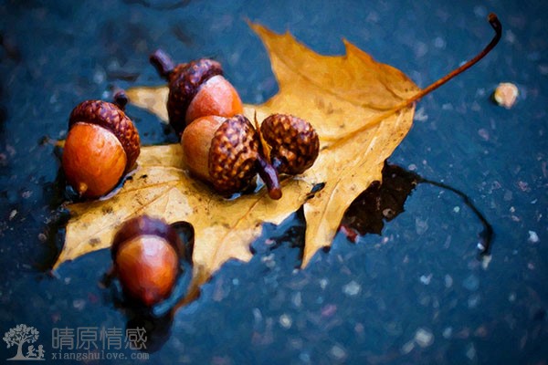 老公出轨了，如何和平地接管家庭的经济大权？
