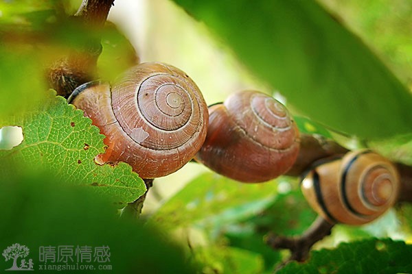 老公身边新欢旧爱换个不停，由于孩子的缘故还没有离婚，该如何平顺心情
