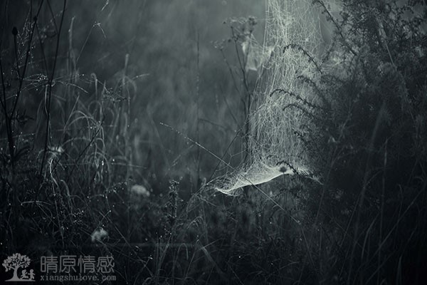 往事已成云烟，前女友最近频繁联系我，我不想卷入这种三角恋