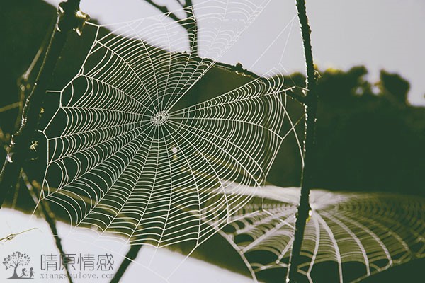 与老婆的夫妻关系出现问题时，通过孝敬岳父岳母，缓和婚姻的紧张