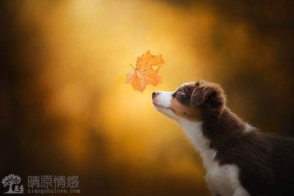 当老公与前任保持联系时，我不确定他们之间是否有问题，但很困扰我。