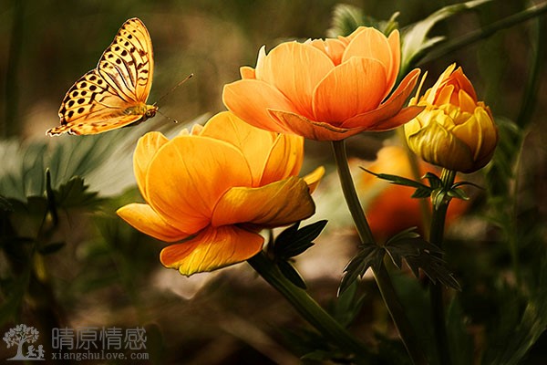 婚后老公对我不感兴趣，没有了激情，完全不浪漫了，如何自我提升来吸引他的注意