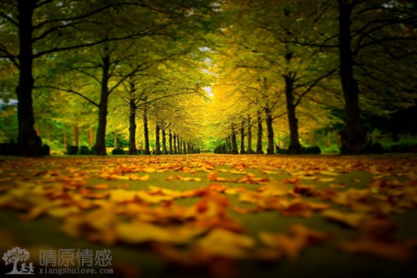 在挽回婚姻的过程中，如何学会倾听老婆的想法和感受，更加关注她的需求？