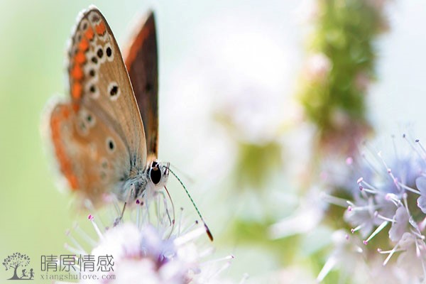 如何处理离婚过程中可能出现的家庭财务问题，以及如何公平分配？