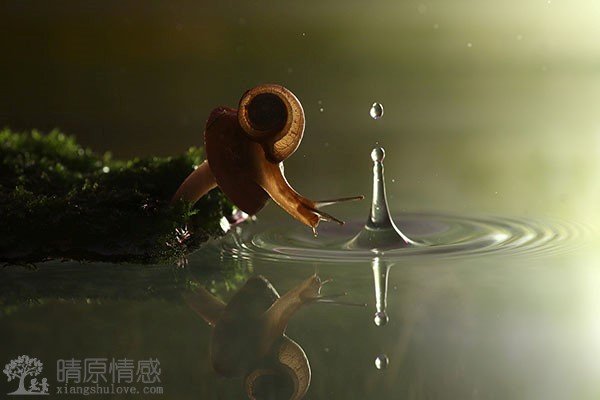 健康的感情，学会在恋爱中保持尊重