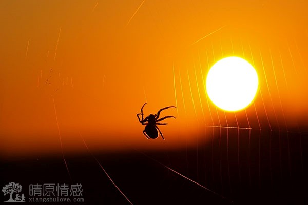 如何在挽回老公的过程中，坚持自己的原则和底线？