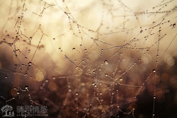 性格问题导致分手，如何积极寻求改变和进步，为复合创造条件？
