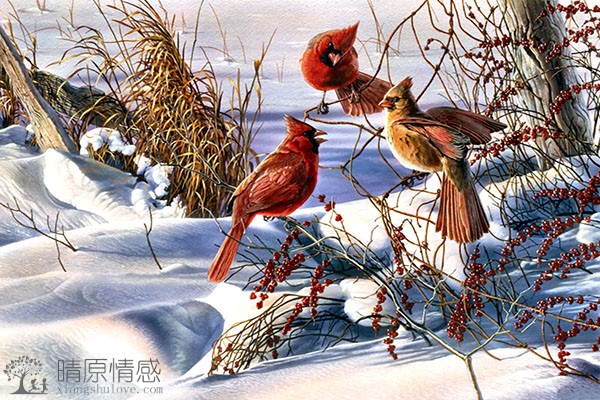 内在修养和情感管理，帮助你在婚姻关系中更加有吸引力