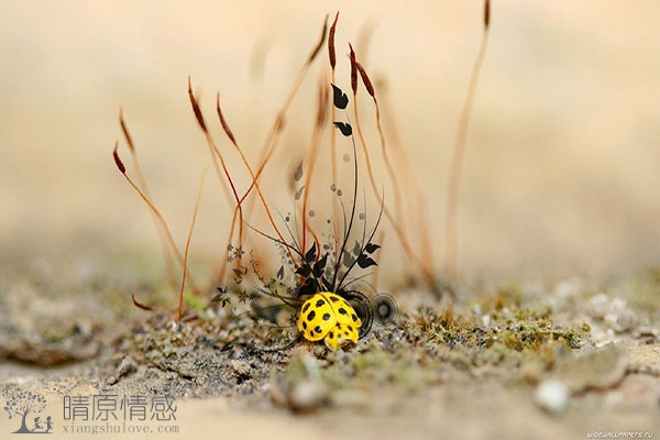 老公因为我是家庭主妇而轻视我，如何让他认识到我的价值和重要性？