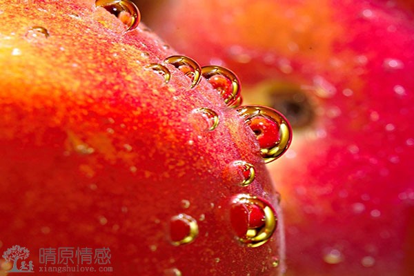 奔赴爱情：如何在挽回女友中展现诚意与决心
