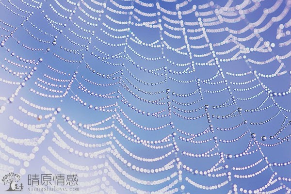 老公很帅但是花心，婚后多次出轨，我都容忍了，觉得自己很卑微，该如何改变