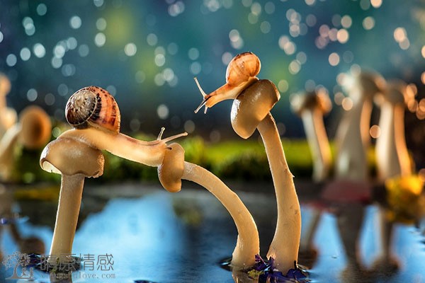 如何在恋爱关系中保持个人成长，防止过度依赖？