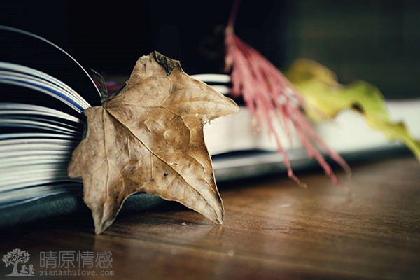 曾经有一份真挚爱情摆在我面前，我没有珍惜。无法忘记对方，如何挽回？
