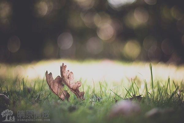 面临恋爱矛盾难以化解冲突时，如何挽回濒临破裂的感情？