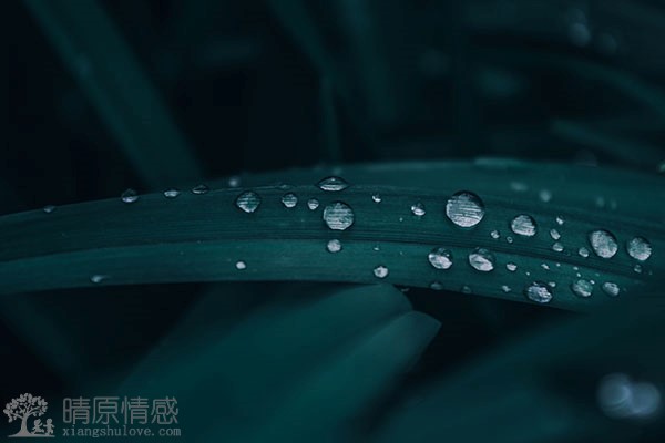 与老公的感情也就那样了，不可能好转，怎么做到不恶化？