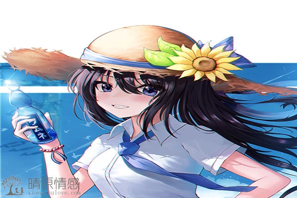 感情的本质，主要是吸引力、舒适度和占有欲。