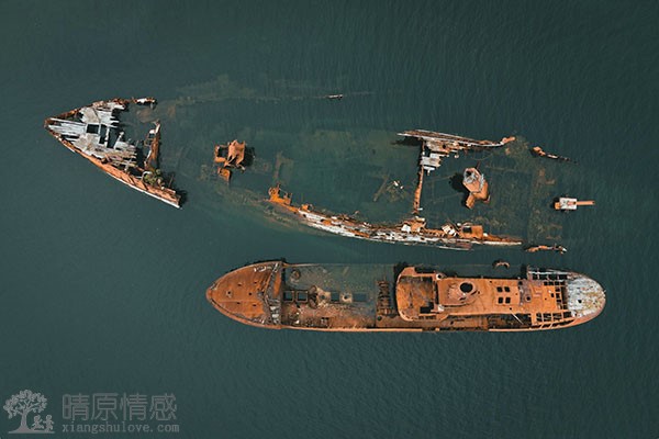 老公出轨，如何寻求亲友和专业人士的支持，共同度过难关？