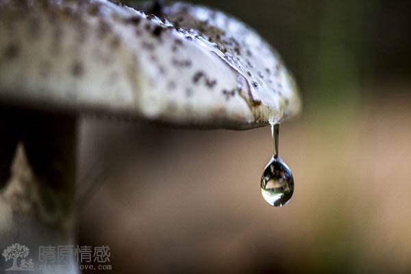 老婆出轨，她身体不忠，心里还装着家庭，怎么会这样？