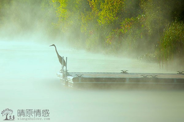 感情出现问题时，不要第一时间暴跳如雷，先冷静下来。