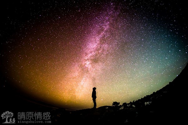 王菲与谢霆锋据报道和平分手，结束10年的感情