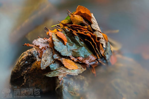 梦见高山代表什么意思？梦见高山代表感情会发生什么事？