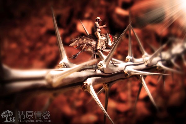异性同学关系暧昧的表现。