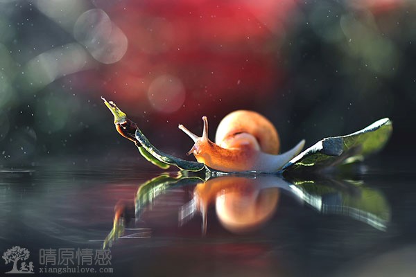 面对两人追求没有最终选择哪一位，这算不算三角恋？
