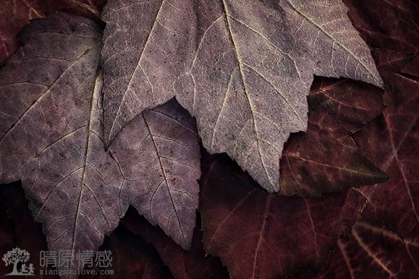 老公经常不在家我出轨了怎么办？