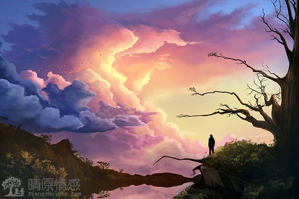 前央视主持人欧阳夏丹澄清离婚传言，表示感情应顺其自然