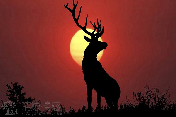  婚姻濒临破裂，如何逐步修复因性格缺陷导致的信任问题，为复合打下基础？