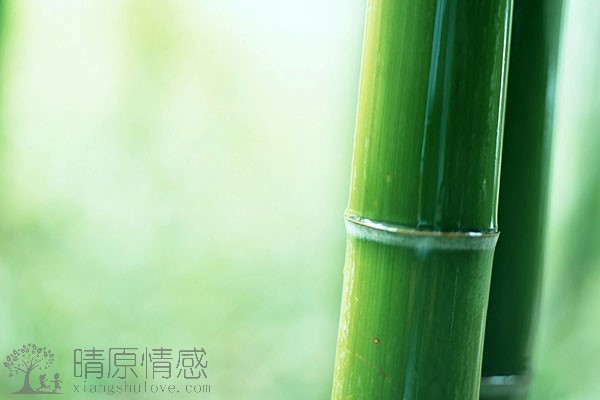 夫妻之间的感情逐渐疏远，女性如何挽回婚姻呢？