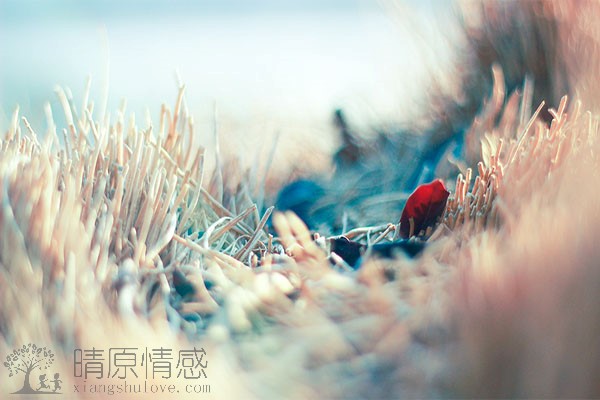 婚姻中夫妻关系失衡怎么办？