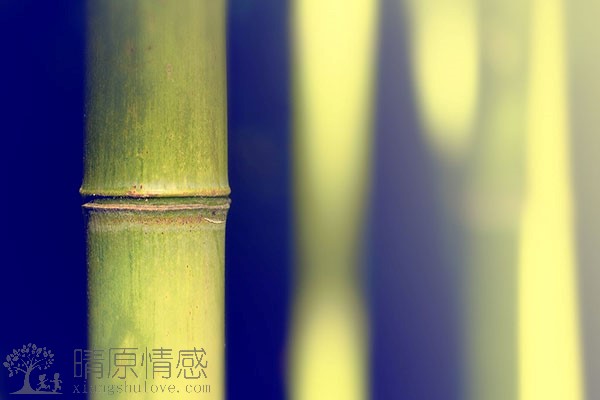 王大陆和蔡卓宜疑似分手，新女伴身份曝光