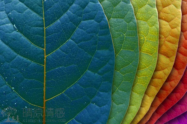 怎么弄小三