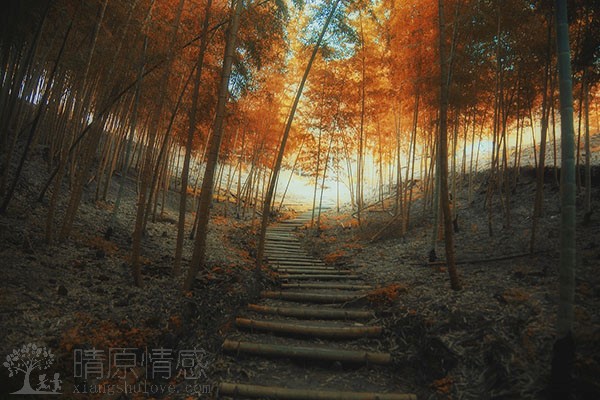 挽回老婆的爱，需要重新建立联系。