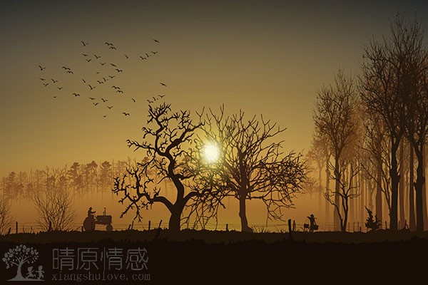 爱情是什么？