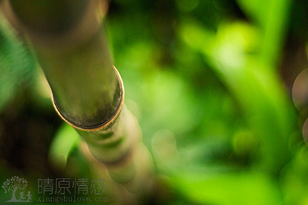 冷暴力对个人心理的影响