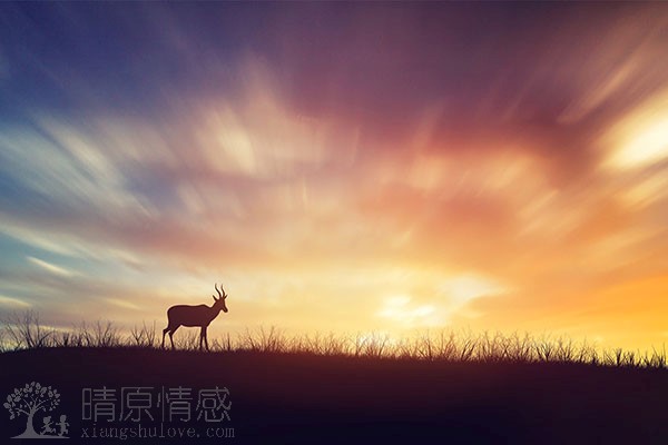发现老公出轨，可以装作不知道拖着不要离婚吗？